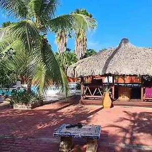 Alojamento de Acomodação e Pequeno-almoço Woodstock Palmresort Curacao